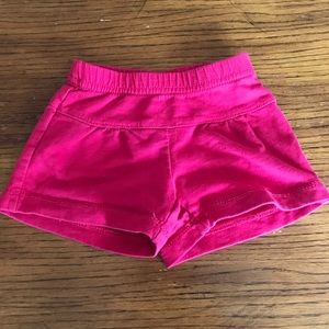 Tea Collection 6-12 month shorts